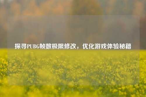 探寻PUBG帧数极限修改,优化游戏体验秘籍