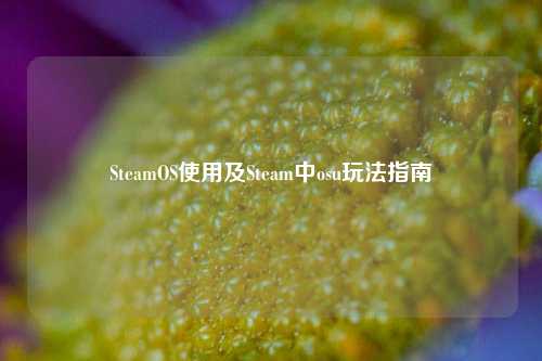SteamOS使用及Steam中osu玩法指南