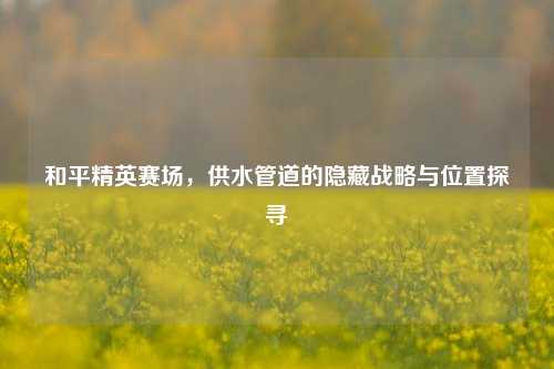 和平精英赛场,供水管道的隐藏战略与位置探寻