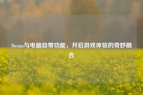 Steam与电脑自带功能,开启游戏体验的奇妙融合