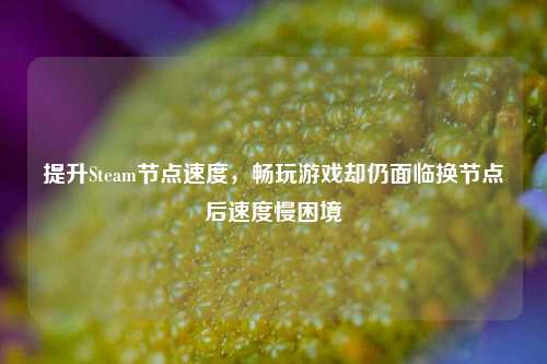 提升Steam节点速度,畅玩游戏却仍面临换节点后速度慢困境