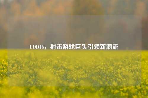 COD16,射击游戏巨头引领新潮流