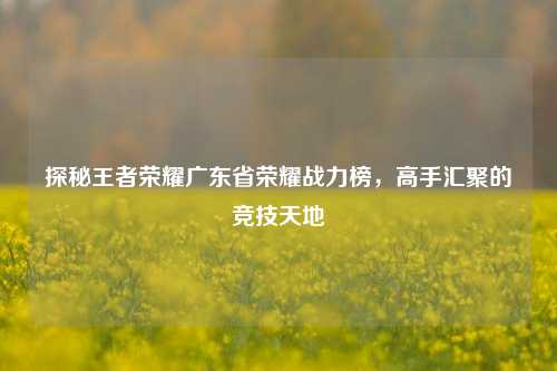 探秘王者荣耀广东省荣耀战力榜,高手汇聚的竞技天地