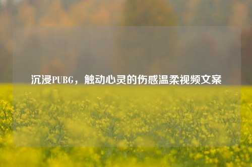沉浸PUBG,触动心灵的伤感温柔视频文案
