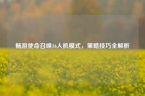 畅游使命召唤16人机模式,策略技巧全解析