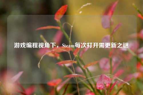 游戏编程视角下,Steam每次打开需更新之谜