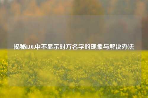 揭秘LOL中不显示对方名字的现象与解决办法