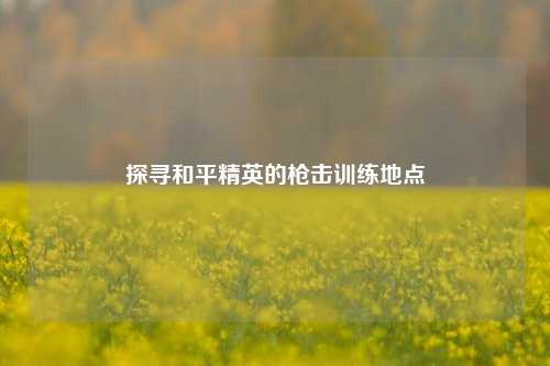 探寻和平精英的枪击训练地点