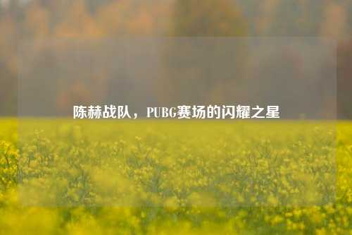 陈赫战队,PUBG赛场的闪耀之星