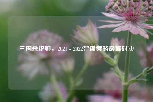三国杀统帅,2021 - 2022智谋策略巅峰对决