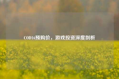 COD16预购价,游戏投资深度剖析