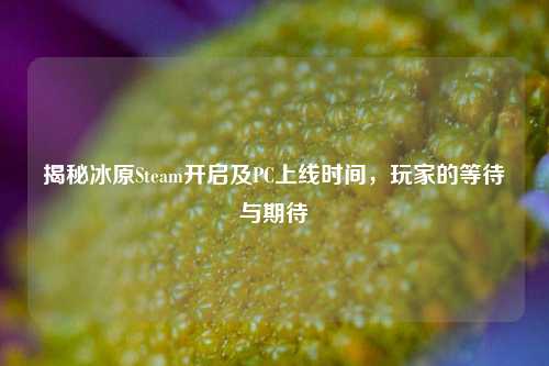 揭秘冰原Steam开启及PC上线时间,玩家的等待与期待
