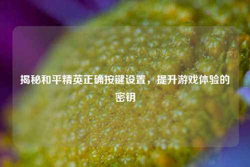 揭秘和平精英正确按键设置,提升游戏体验的密钥