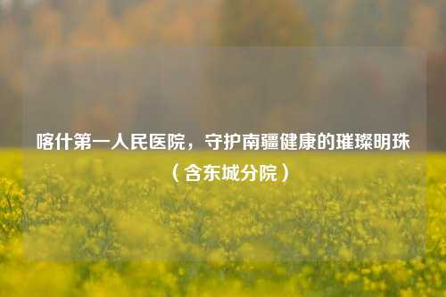 喀什之一人民医院,守护南疆健康的璀璨明珠(含东城分院)