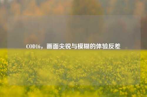 COD16,画面尖锐与模糊的体验反差