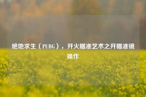 绝地求生(PUBG),开火瞄准艺术之开瞄准镜操作
