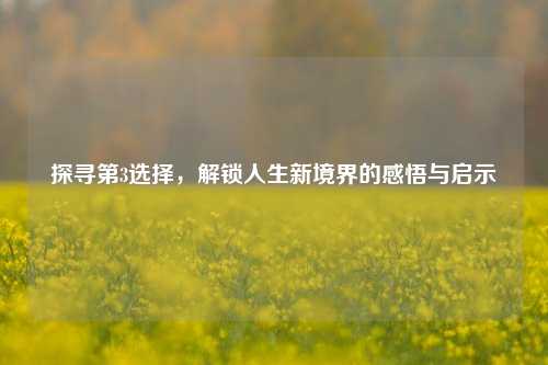 探寻第3选择,解锁人生新境界的感悟与启示