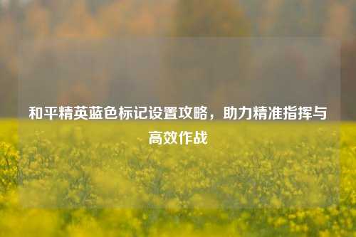和平精英蓝色标记设置攻略,助力精准指挥与高效作战