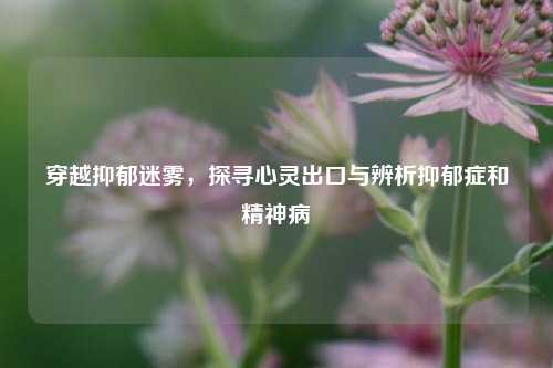 穿越抑郁迷雾,探寻心灵出口与辨析抑郁症和精神病