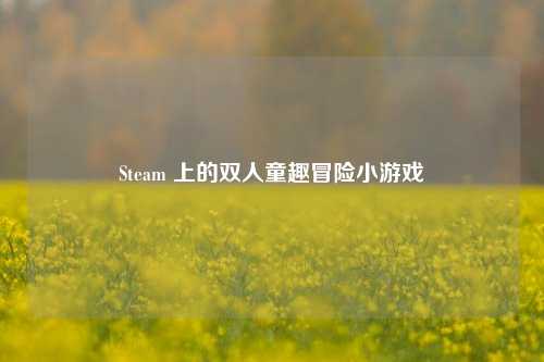 Steam 上的双人童趣冒险小游戏