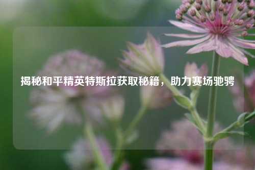 揭秘和平精英特斯拉获取秘籍,助力赛场驰骋