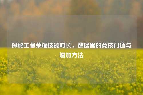 探秘王者荣耀技能时长,数据里的竞技门道与增加