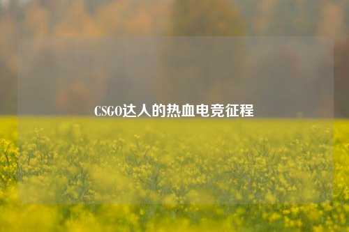 CSGO达人的热血电竞征程