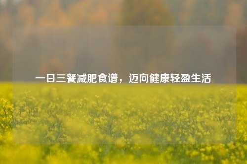 一日三餐减肥食谱,迈向健康轻盈生活