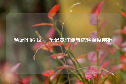 畅玩PUBG Lite,笔记本性能与体验深度剖析