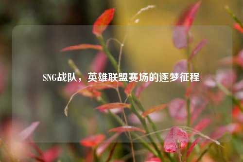 SNG战队,英雄联盟赛场的逐梦征程