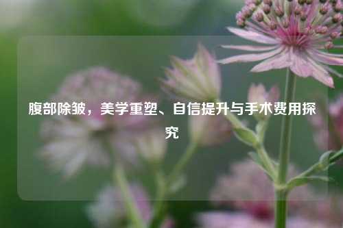 腹部除皱，美学重塑、自信提升与手术费用探究