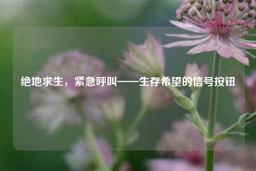 绝地求生,紧急呼叫——生存希望的信号按钮