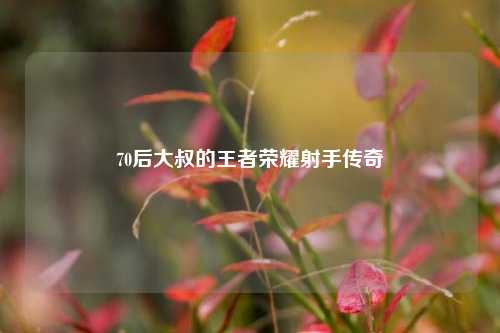 70后大叔的王者荣耀射手传奇