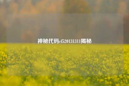 神秘代码cf520131311揭秘
