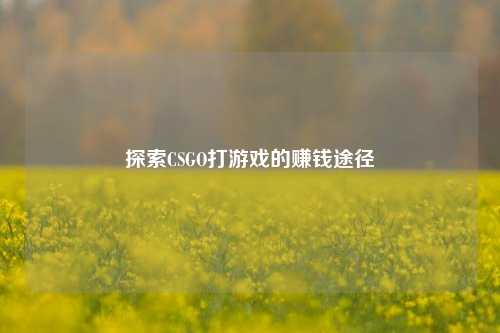 探索CSGO打游戏的赚钱途径