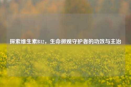 探索维生素B12,生命微观守护者的功效与主治