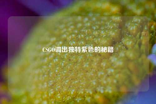 CSGO调出独特紫色的秘籍