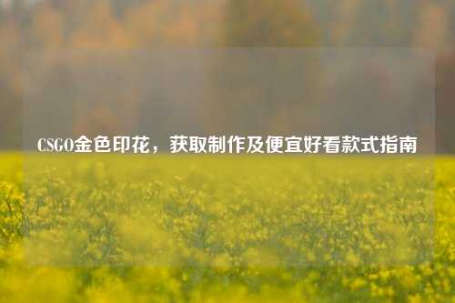 CSGO金色印花,获取 及便宜好看款式指南