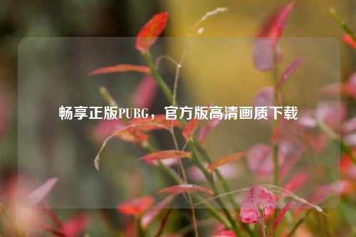 畅享正版PUBG,官方版高清画质下载