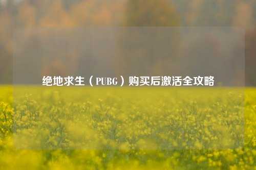 绝地求生(PUBG)购买后激活全攻略
