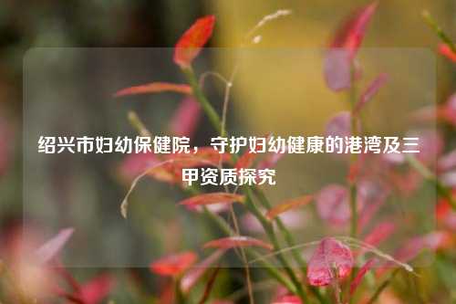绍兴市妇幼保健院,守护妇幼健康的港湾及三甲资质探究
