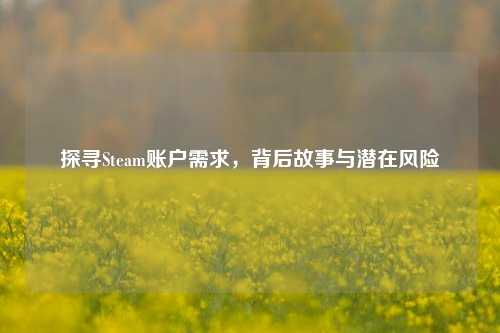 探寻Steam账户需求,背后故事与潜在风险