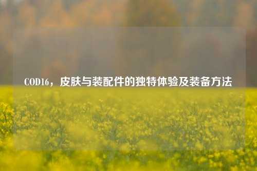 COD16,皮肤与装配件的独特体验及装备
