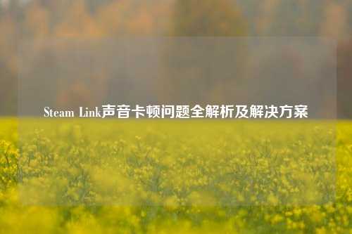 Steam Link声音卡顿问题全解析及解决方案