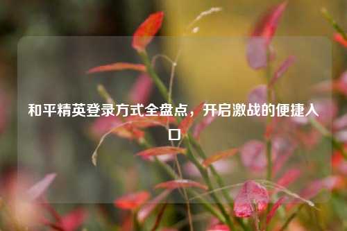 和平精英登录方式全盘点，开启激战的便捷入口
