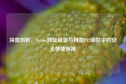 深度剖析,Steam网址锁定与网页F12锁区中的安全便捷保障