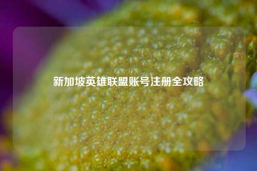 新加坡英雄联盟账号注册全攻略
