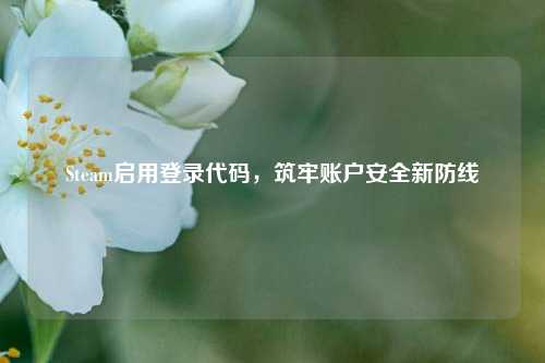 Steam启用登录代码，筑牢账户安全新防线