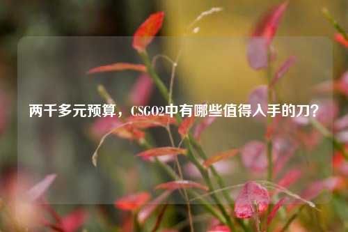 两千多元预算,CSGO2中有哪些值得入手的刀?