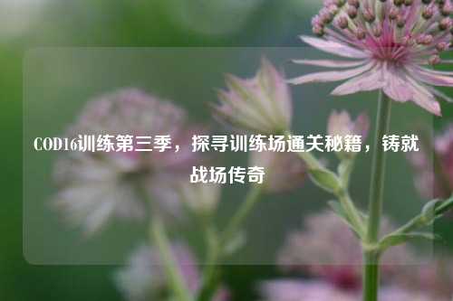 COD16训练第三季,探寻训练场通关秘籍,铸就战场传奇